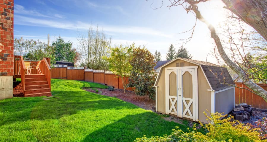 Fenced backyard with storage shed in Bellingham